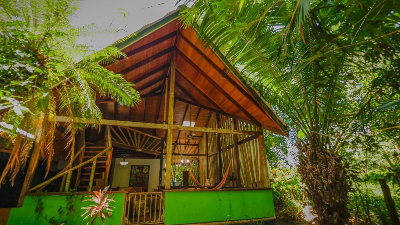 Chosa Manglar Suites & Cabins Puerto Jiménez Exterior photo
