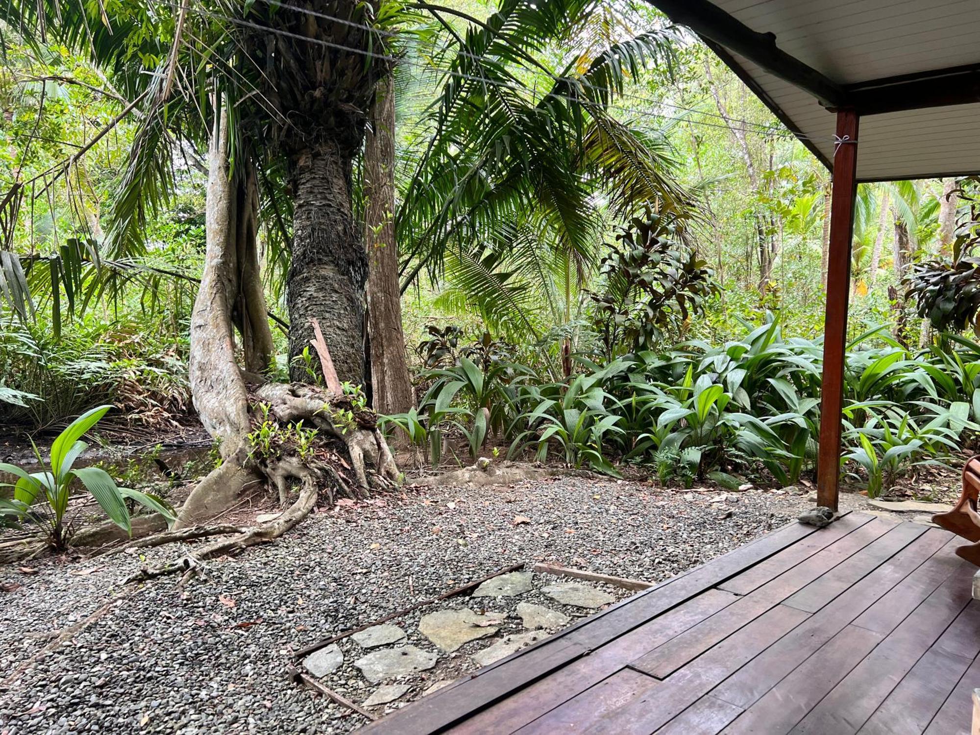 Chosa Manglar Suites & Cabins Puerto Jiménez Exterior photo